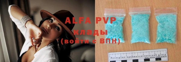 ECSTASY Богородицк