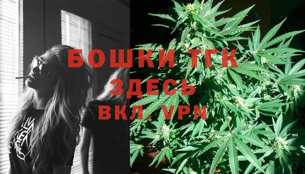 ECSTASY Богородицк