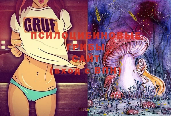 ECSTASY Богородицк
