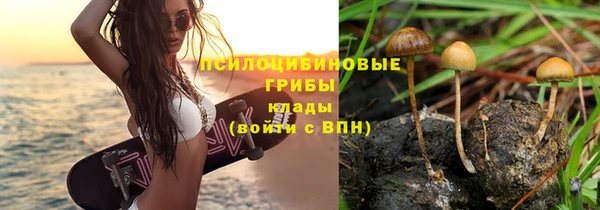 ECSTASY Богородицк