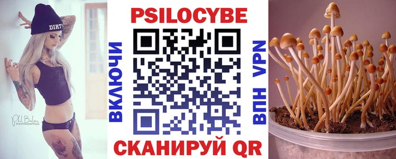 закладки  Комсомольск-на-Амуре  Псилоцибиновые грибы Psilocybe 